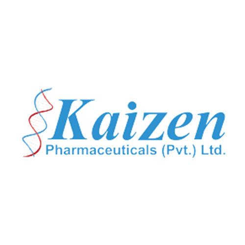 kaizen