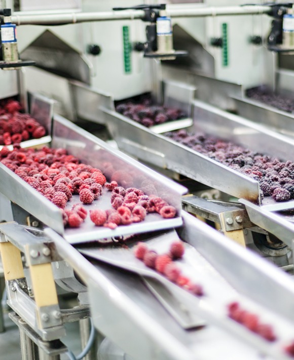 WhatsApp Image 2025-08-15 at 11.20.21 PM WhatsApp Image 2025-08-15 at 11.20.21 PM