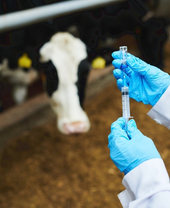 WhatsApp Image 2025-08-15 at 11.30.36 PM WhatsApp Image 2025-08-15 at 11.30.36 PM