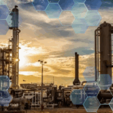 image (11) image (11)